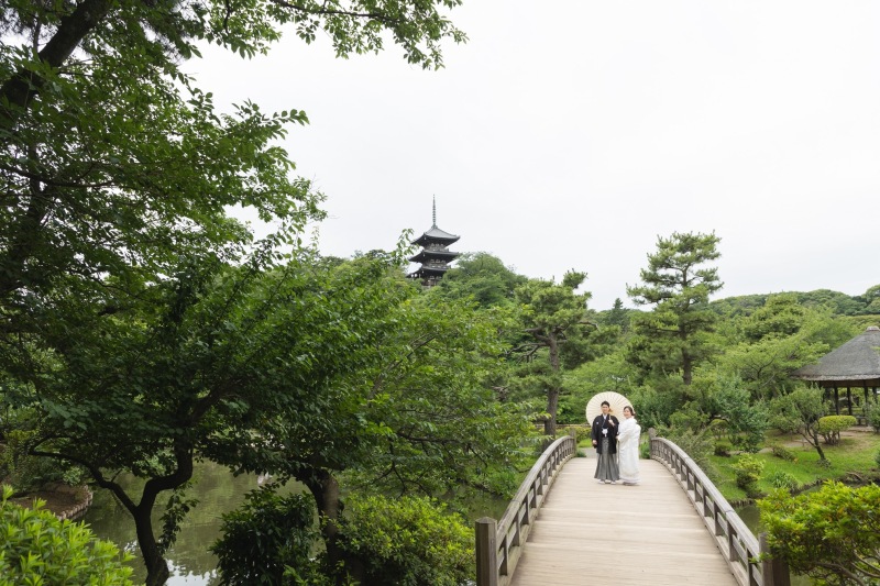 紫陽花が綺麗な三渓園での撮影!