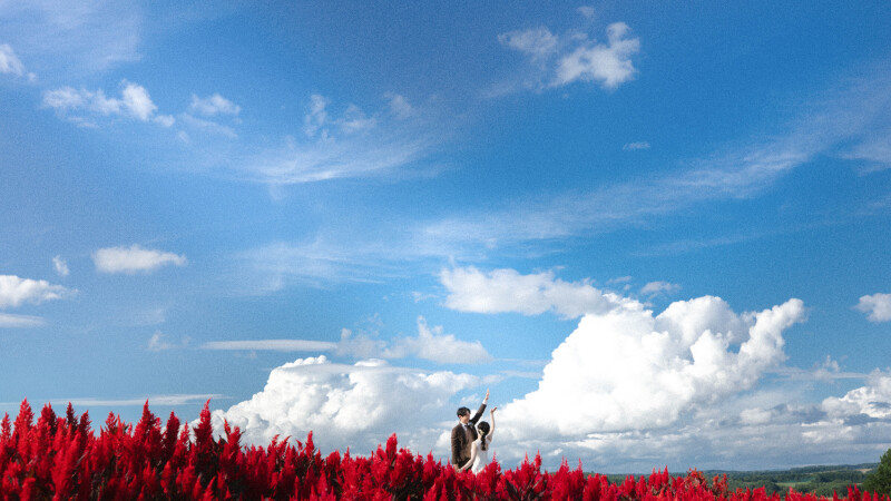 北海道をめぐるフォトウェディング