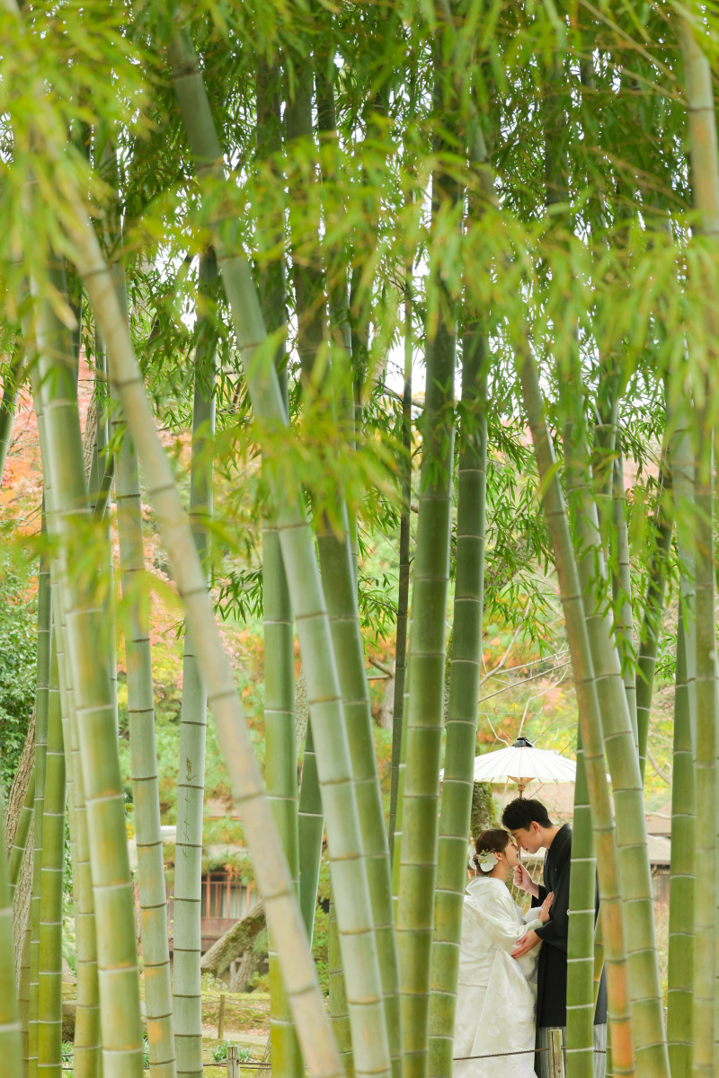 紅葉・木漏れ日・夕暮れの光　photo　by　谷澤明美