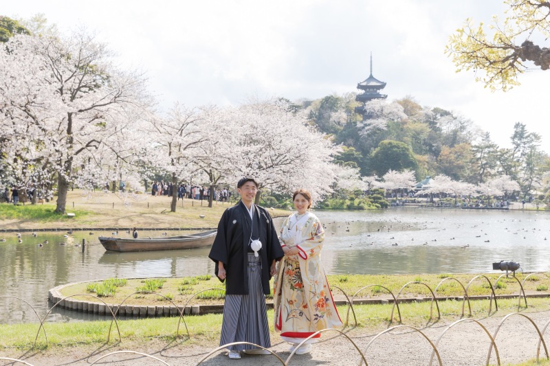 桜満開の三溪園で
