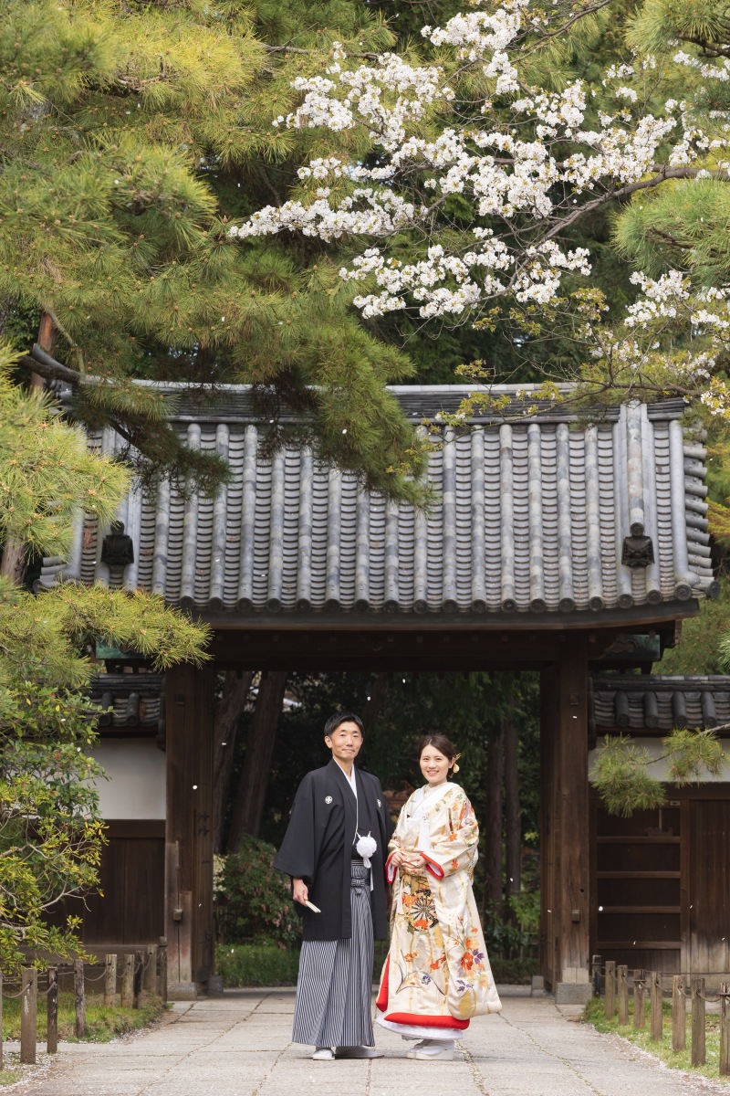 桜満開の三溪園で