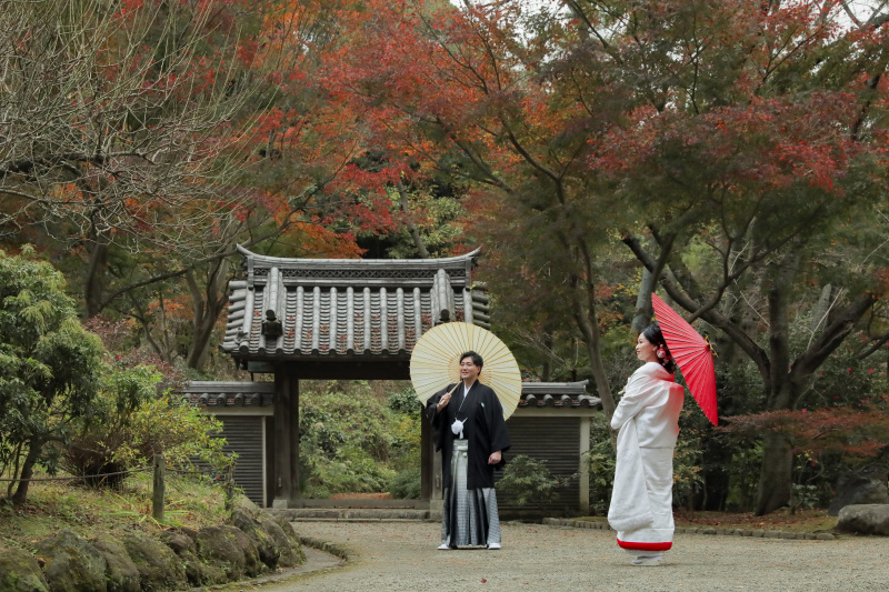 !!!撮影予約残りわずか!!!2023年紅葉撮影