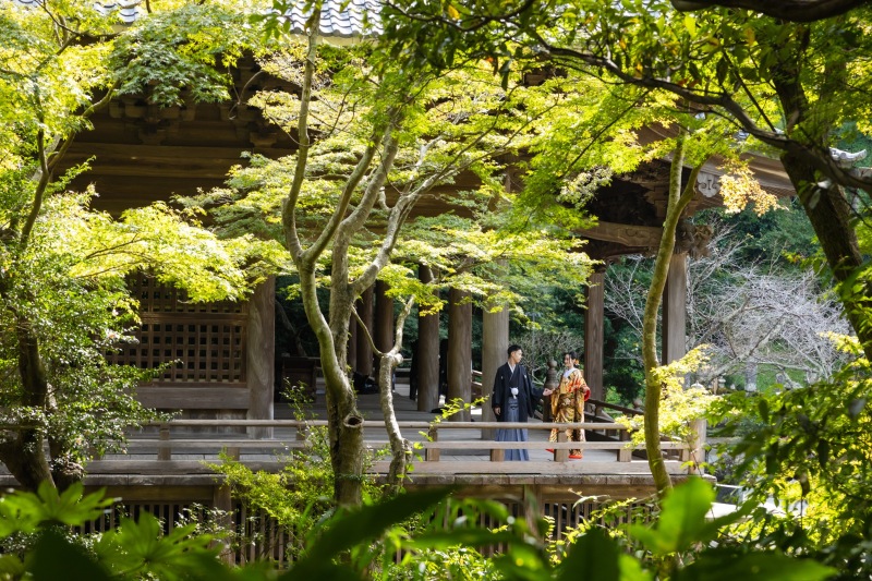 鎌倉　妙本寺　photo by Nishimori