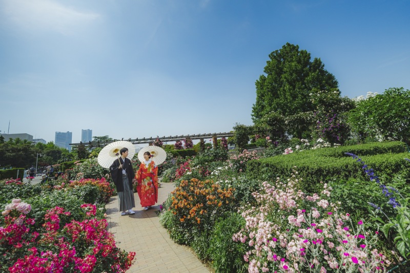 青空と彩り豊かな花々が美しい公園ロケーション