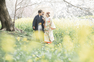 今年の桜撮影をご紹介