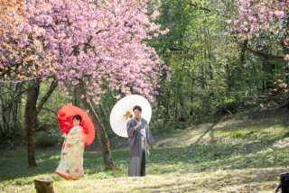 ＼ご予約開始！／3月・4月桜撮影はこの時期のご予約が◎！