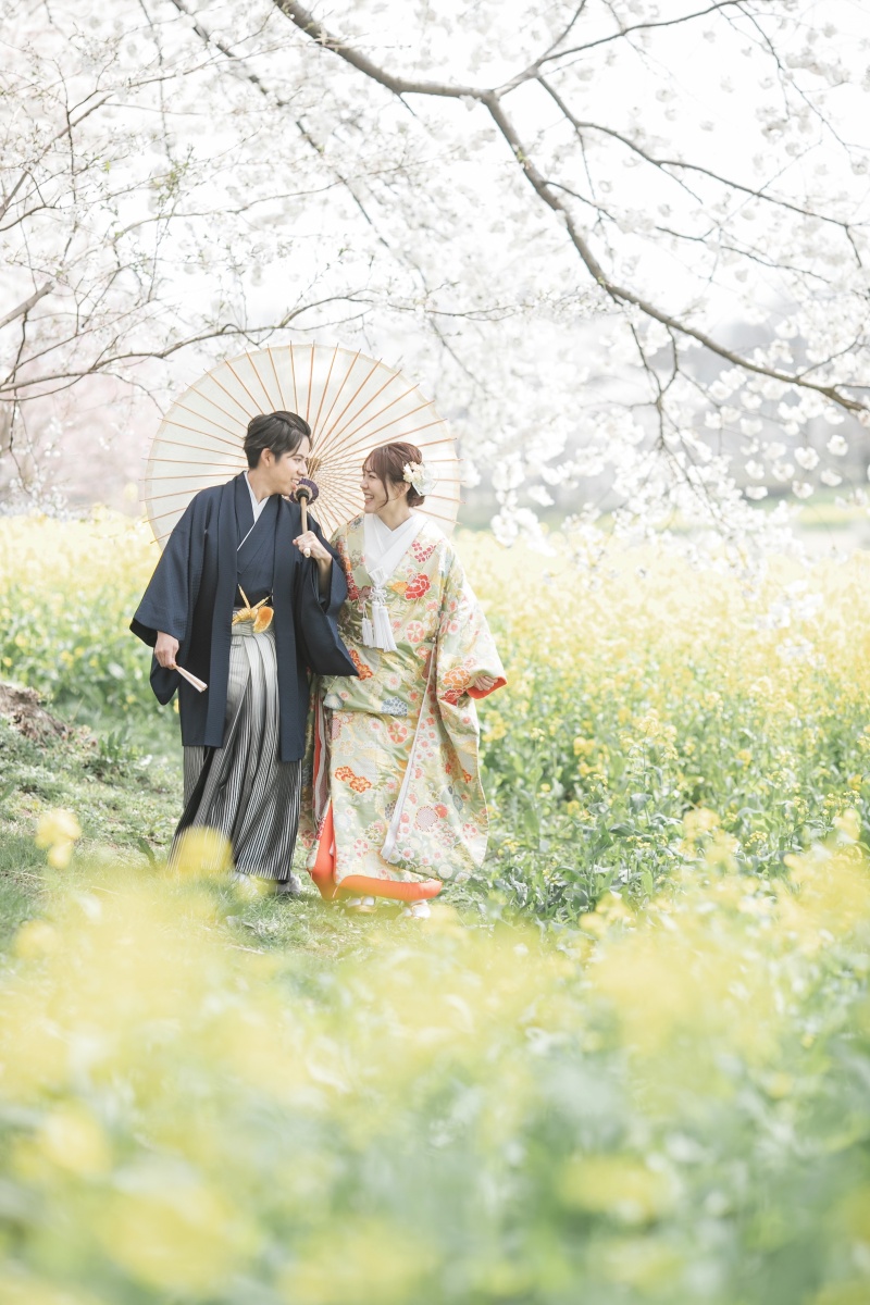 2026年桜撮影のご案内開始しました