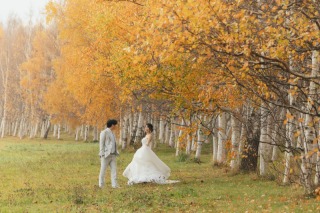紅葉&times;白樺の木！札幌市内で叶える、北海道らしいウエディングフォト！