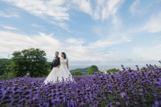 まだ間に合う！！札幌近郊ラベンダー畑のご紹介