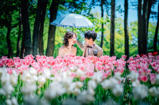 滝野すずらん公園でチューリップの可愛いお写真必見です♫