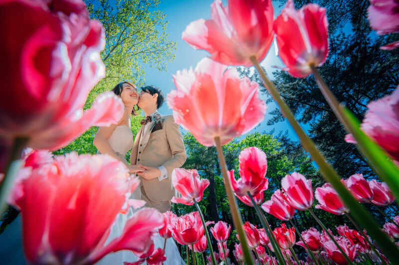 滝野すずらん公園でチューリップの可愛いお写真必見です♫