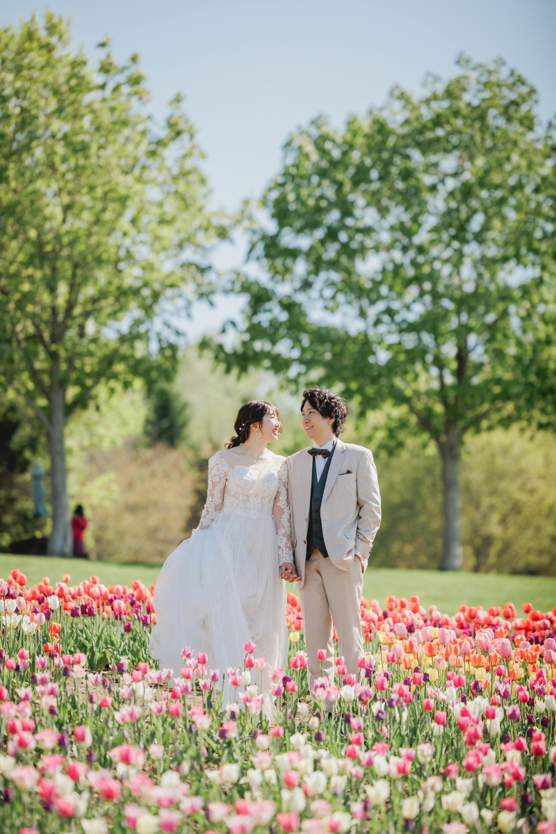 5月はチューリップがおすすめ！！