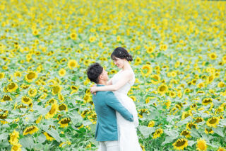 2024年夏はぜひひまわり畑ロケーションで!