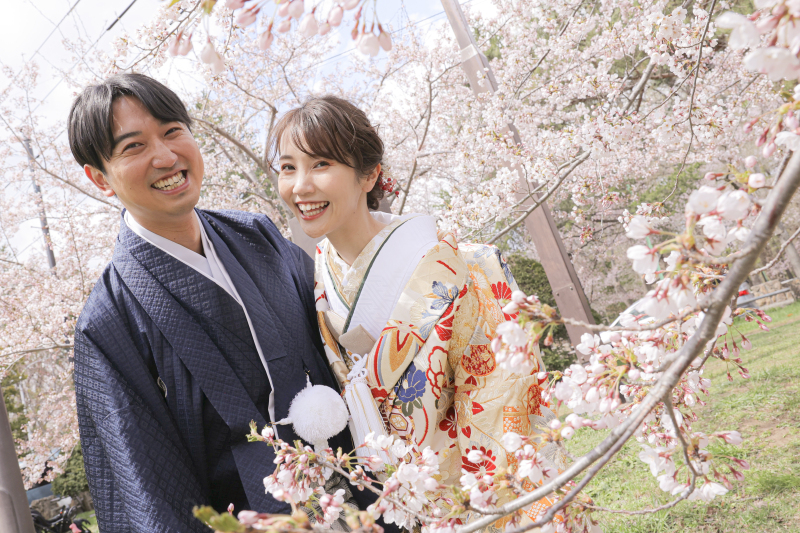【4月ロケーション地紹介】桜満開！円山公園
