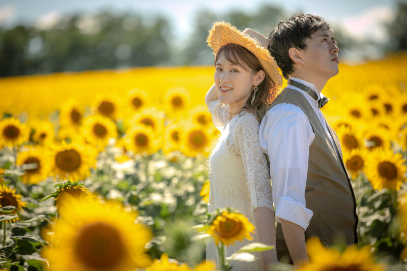 【キャンペーン】日本最 大のひまわり畑でウエディングフォトを撮影しませんか?