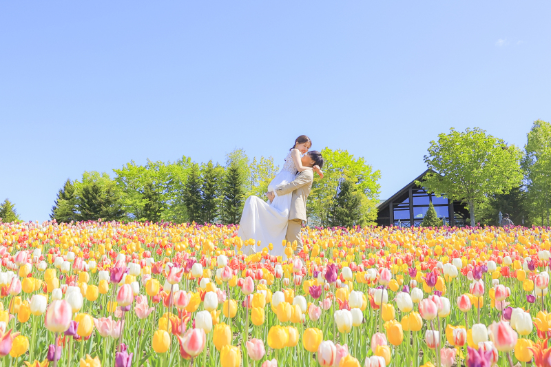 5月中旬!チューリップが満開✨【滝野すずらん丘陵公園】