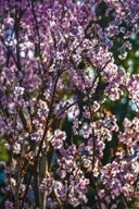 【出張撮影】お二人に縁のある場所でロケーションフォト！和装撮影が美しい季節