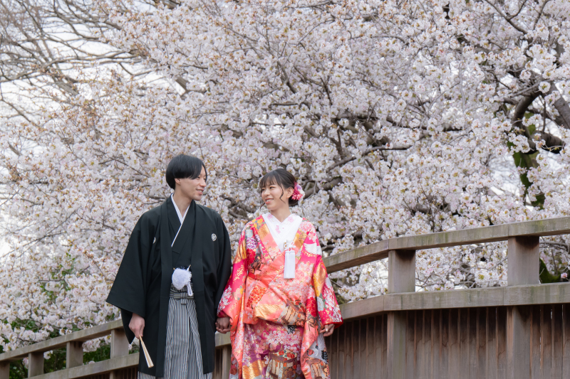 桜ロケーション撮影　空き状況のお知らせ