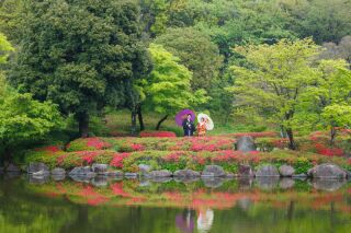 雨の昭和記念公園