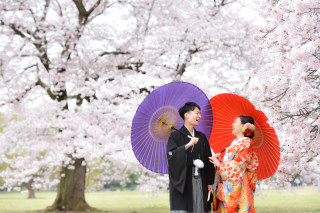 桜撮影のご予約受付中！