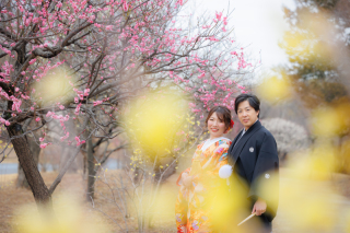 最新！昭和記念公園、梅情報！