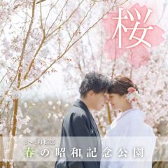 昨年の桜の様子と桜撮影の空き状況❀昭和記念公園