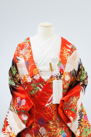 新！和装衣装✨色打掛45番のご紹介