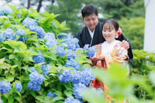 紫陽花ショット