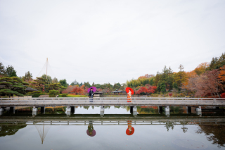 昭和記念公園の紅葉