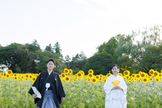 大きいひまわりとの撮影