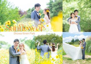 ひまわり季節の洋装撮影 ♪ 夏満喫のウエディングフォト！
