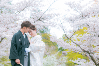 桜の予約は今がチャンス!