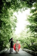 お着物映えの季節