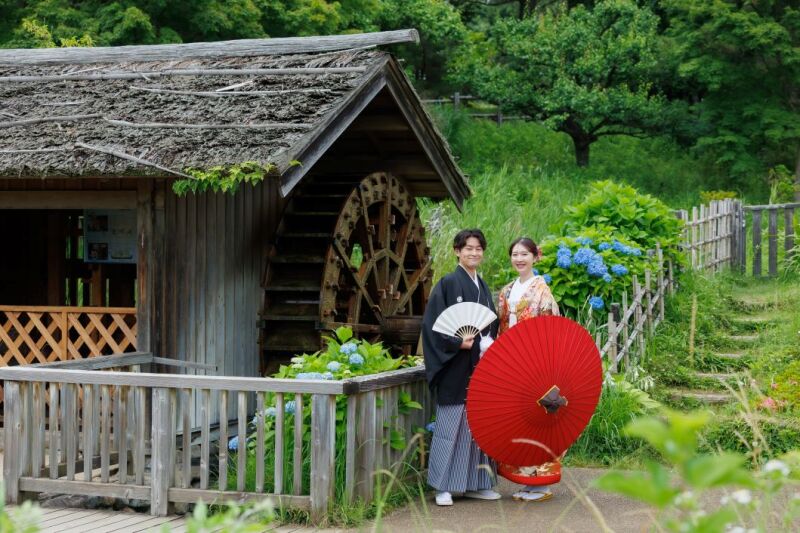 新着♪ 2025年6月14日時点*紫陽花開花状況*昭和記念公園&高幡不動尊