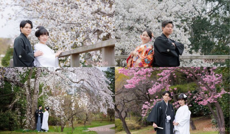 桜シーズンのウエディングフォト公開 ‼ 華雅苑立川店