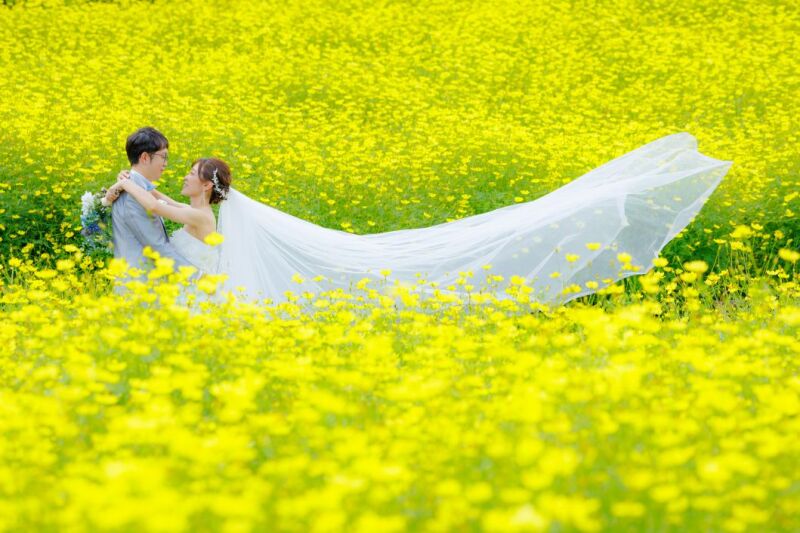洋装フォトウエディング♡秋のコスモス畑と撮影風景をご紹介