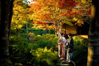 ≪2023年11月≫昭和記念公園＊紅葉時期＊
