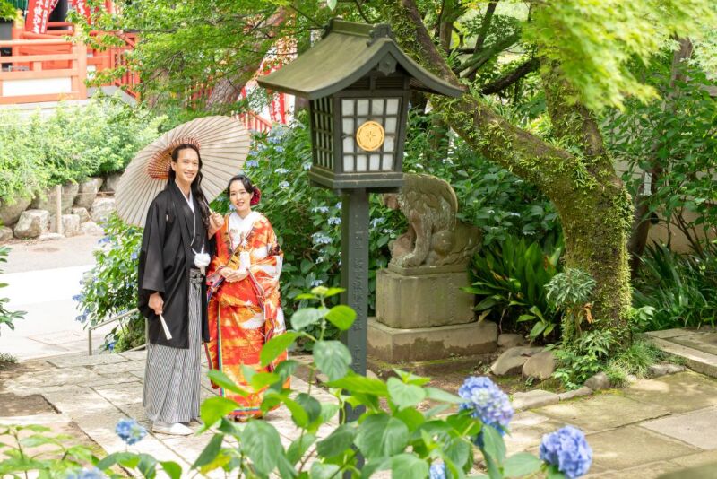 新着♪ 2025年6月14日時点*紫陽花開花状況*昭和記念公園&高幡不動尊