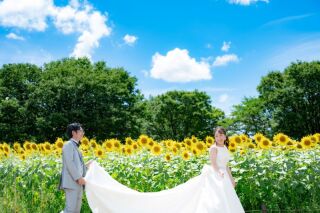 ひまわり畑で、フォトウエディングはいかがですか(^^)/♥