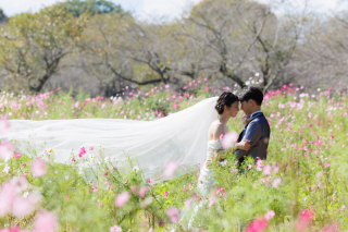 ドレス講座~ウェディングベール~