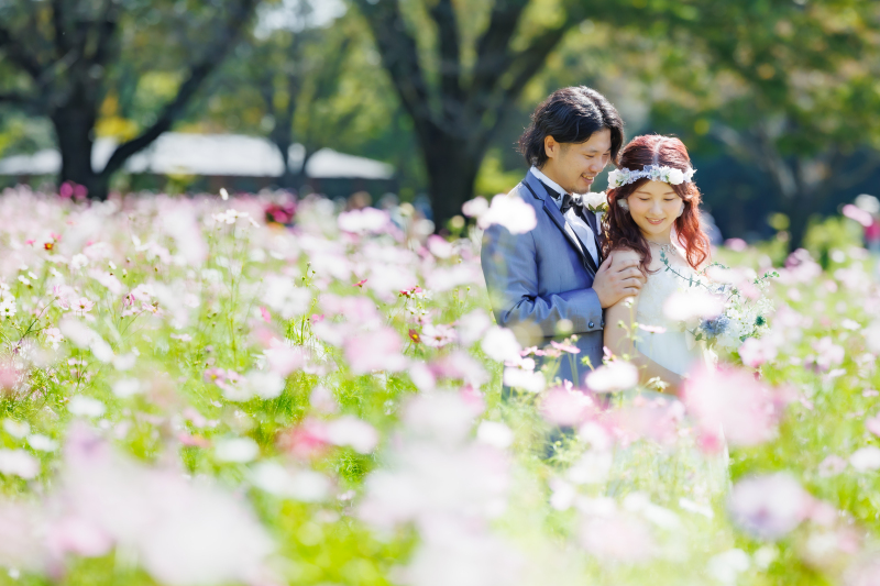 9月の昭和記念公園がオススメ!日本庭園・コスモスと前撮り撮影*