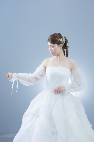 ドレスアクセサリー