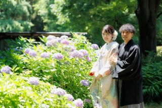 昭和記念公園　2025あじさいフォト♡ロケーション