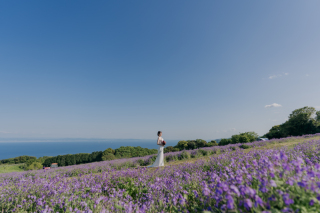 お花畑で撮影!淡路花さじき