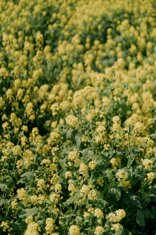 定休日のひとり時間