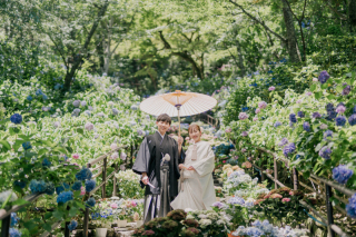 【新プラン登場】関西一周の撮影プラン登場しました!