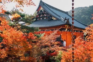 【大阪フォトウエディング】まだ間に合う!毘沙門堂前撮り