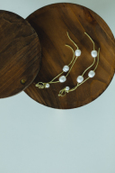 \アクセサリーレンタル始めました/