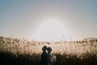 すすきシーズン間も無くです！！