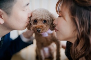 ペットと一緒に撮影できるプラン!